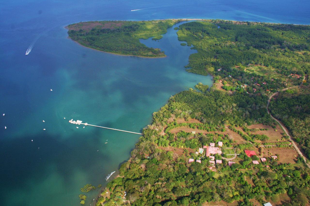 Crocodile Bay Resort Puerto Jimenez Exterior photo